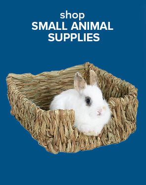 Small Animal Supplies